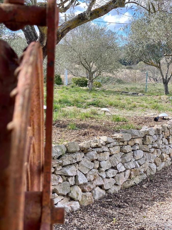 Gite Romarin Avec Spa Saint-Jean-de-Barrou Bagian luar foto